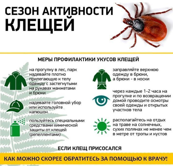 Профилактика клещевого энцефалита.